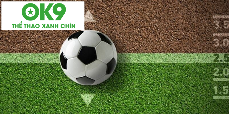 Đặt cược chi tiết tại nhà cái