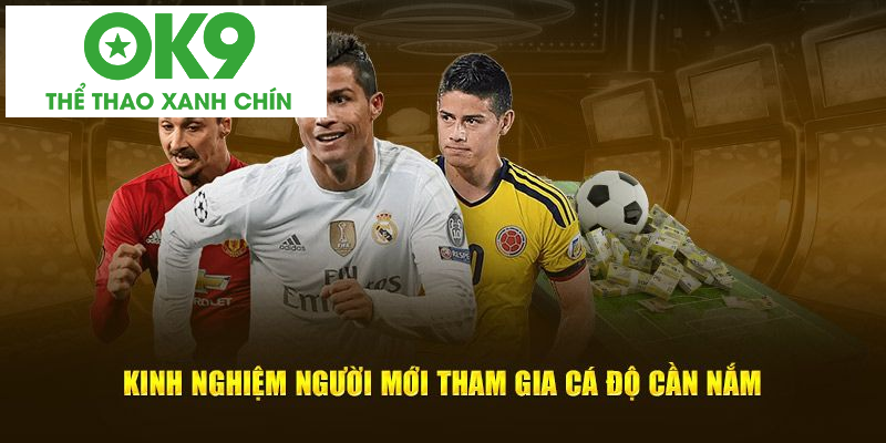 Kinh nghiệm người mới tham gia cá độ cần nắm